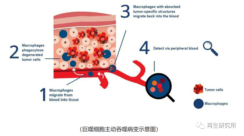 &#20048;&#40060;&#25163;&#26426;&#30331;&#24405;&#20837;&#21475;&#45;&#20048;&#40060;&#65288;&#20013;&#22269;&#65289;